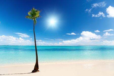 sand of beach caribbean seaの写真素材