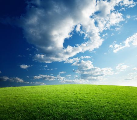 field of grass and sunsetの写真素材
