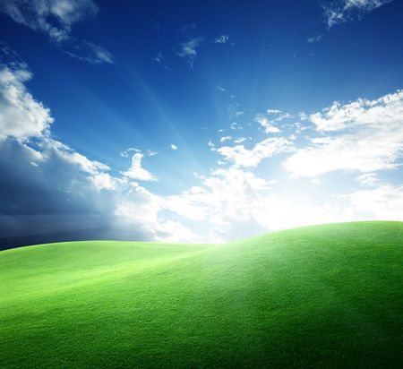 field of grass and sunsetの写真素材