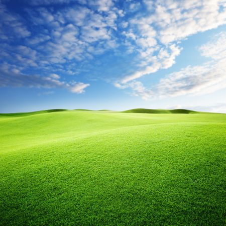 green field and blue skyの写真素材