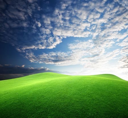 field of grass and sunsetの写真素材