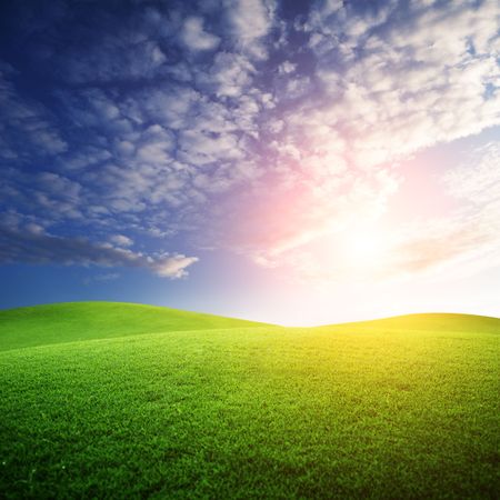 field of grass and sunsetの写真素材