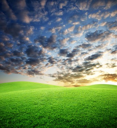 field of grass and sunsetの写真素材
