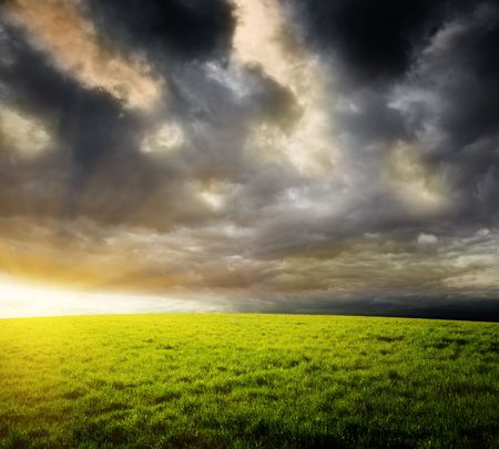 field of grass and sunsetの写真素材
