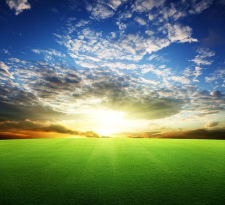 field of grass and perfect sunset skyの写真素材