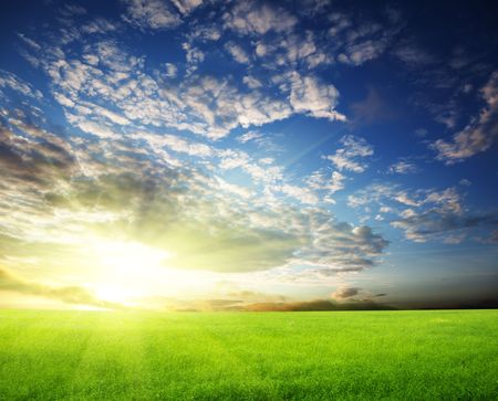 field of grass and perfect sunset skyの写真素材