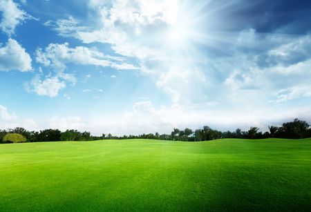green field and treesの写真素材