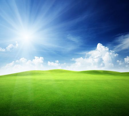 field of grass and perfect skyの写真素材
