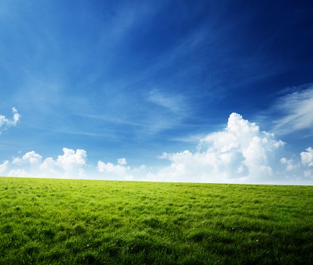 field of grass and perfect skyの写真素材
