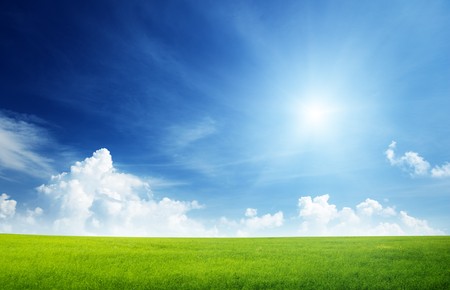 field of grass and perfect skyの写真素材