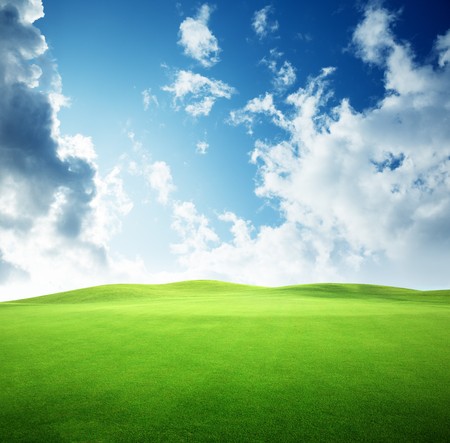 field of grass and perfect skyの写真素材