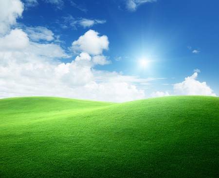 field of green grass and blue skyの写真素材