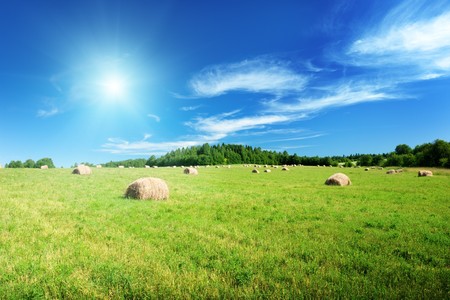 harvested grass in roll and perfect sunny dayの写真素材