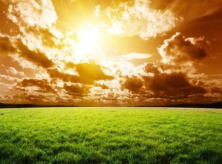 grass and sunの写真素材
