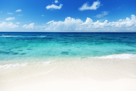 sand of beach caribbean seaの写真素材