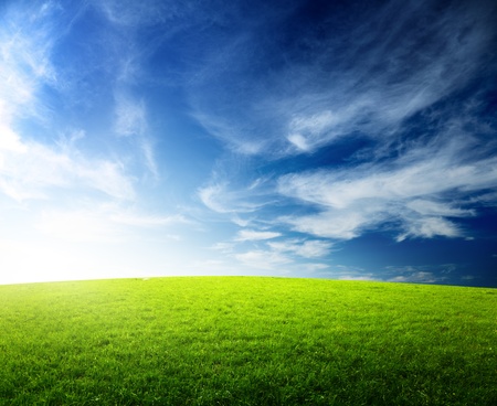 field of grass and sunsetの写真素材