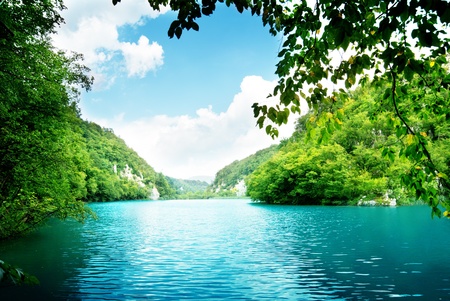 lake in deep forestの写真素材
