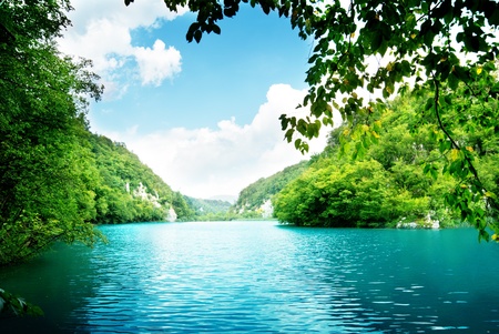 lake in deep forest