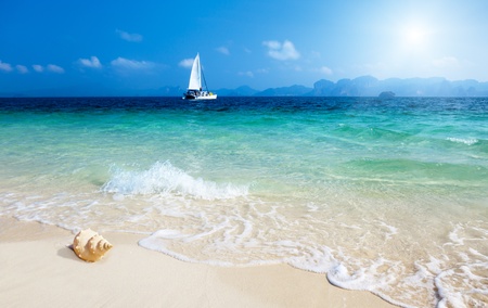 seashell on the beach of Poda island Thailandの写真素材