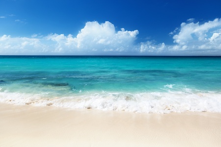 beach on Catalina island Dominican republicの写真素材