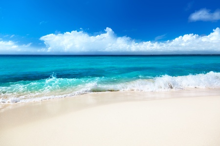 sand of beach caribbean seaの写真素材