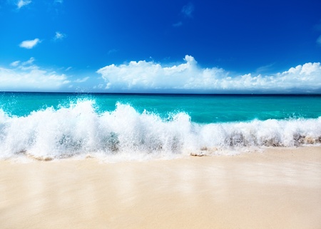 sand of beach caribbean seaの写真素材