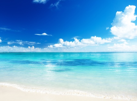 sand of beach caribbean seaの写真素材