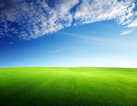 field of grass in sunset timeの写真素材