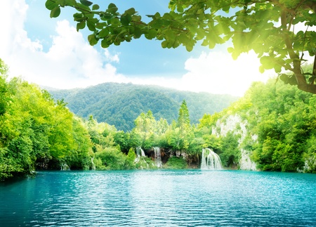 lake in deep forestの写真素材