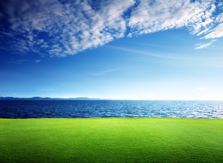 green grass and caribbean seaの写真素材