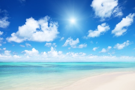 sand of beach caribbean seaの写真素材