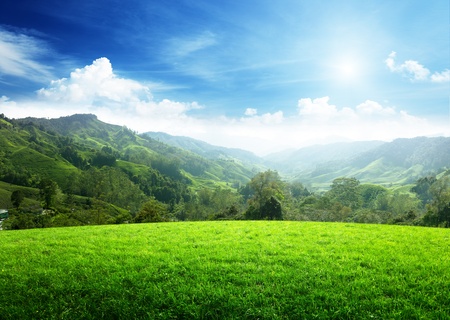 field of spring grass and mountainの写真素材