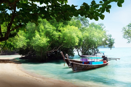 tree in water and long boats on beach in Thailandの写真素材