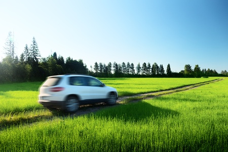 spring field and blured car on ground roadの写真素材