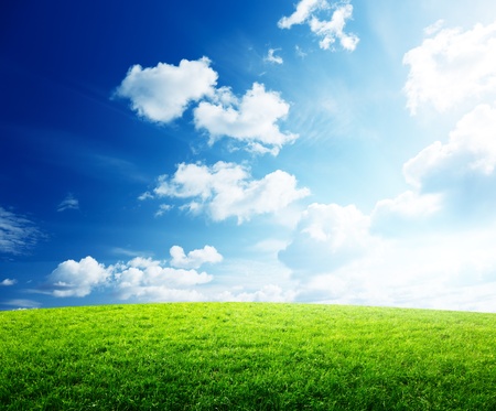 grass and sunsetの写真素材
