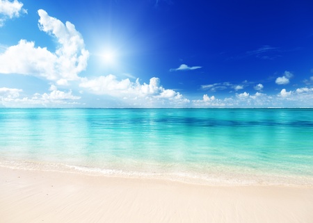 sand of beach caribbean seaの写真素材