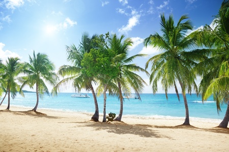 Catalina island in Dominican republicの写真素材