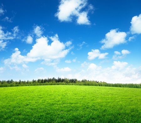 field of grass and perfect skyの写真素材