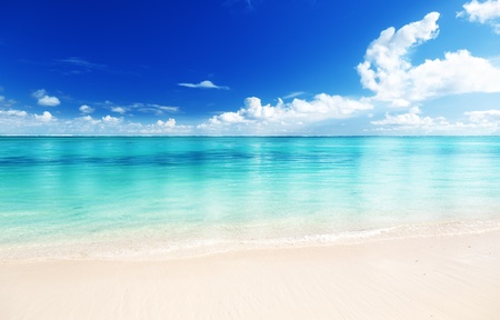 sand of beach caribbean seaの写真素材