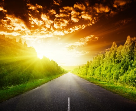 road in Russian forestの写真素材