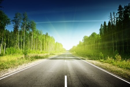 road in Russian forestの写真素材