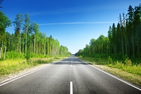 road in Russian forestの写真素材