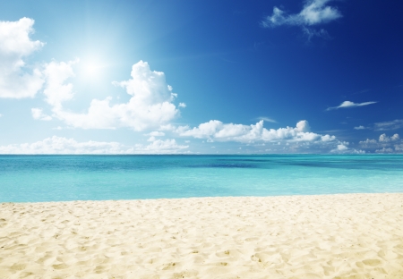 sand of beach caribbean seaの写真素材