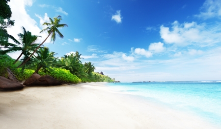 beach in sunset time on Mahe island in Seychellesの写真素材