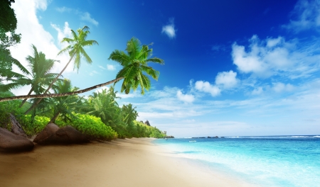 beach in sunset time on Mahe island in Seychellesの写真素材