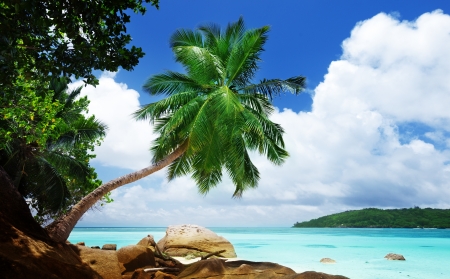 beach on Mahe island in Seychelles の写真素材