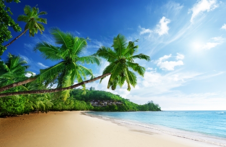 sunset on beach Anse Takamaka of Mahe island, seychellesの写真素材