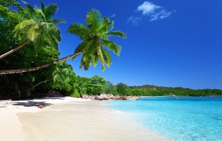 Anse Lazio beach at Praslin island, Seychelles の写真素材