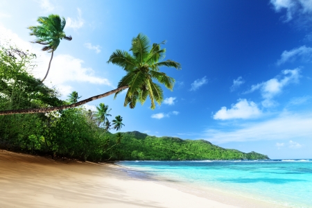 beach in sunset time on Mahe island in Seychellesの写真素材