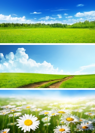 banners of spring fields and flowersの写真素材